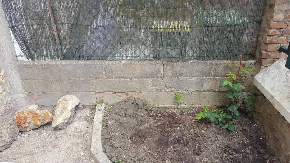 renovation-carloc-savigny-sur-orge-2.jpg